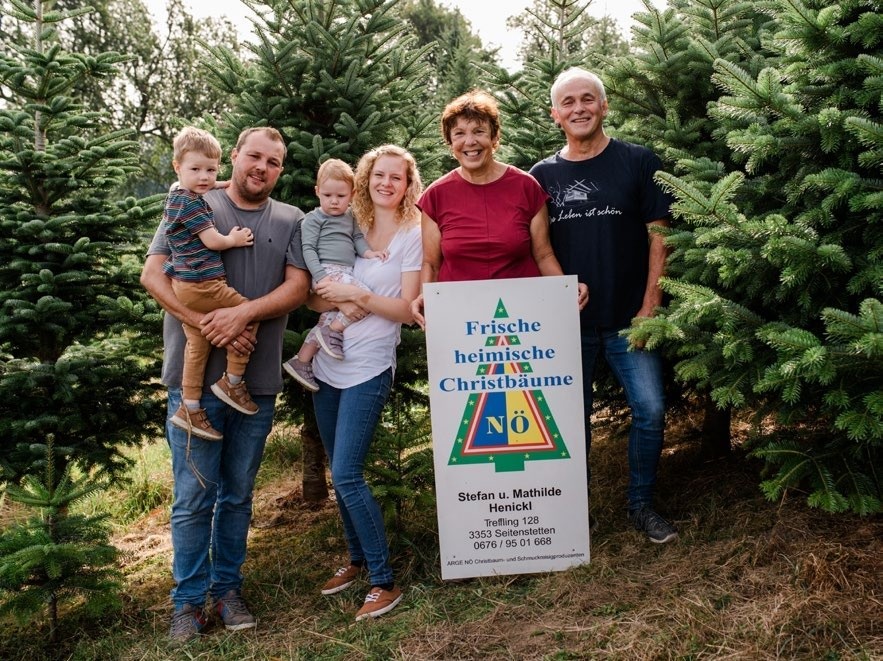 Familie Henickl in der Christbaumkultur