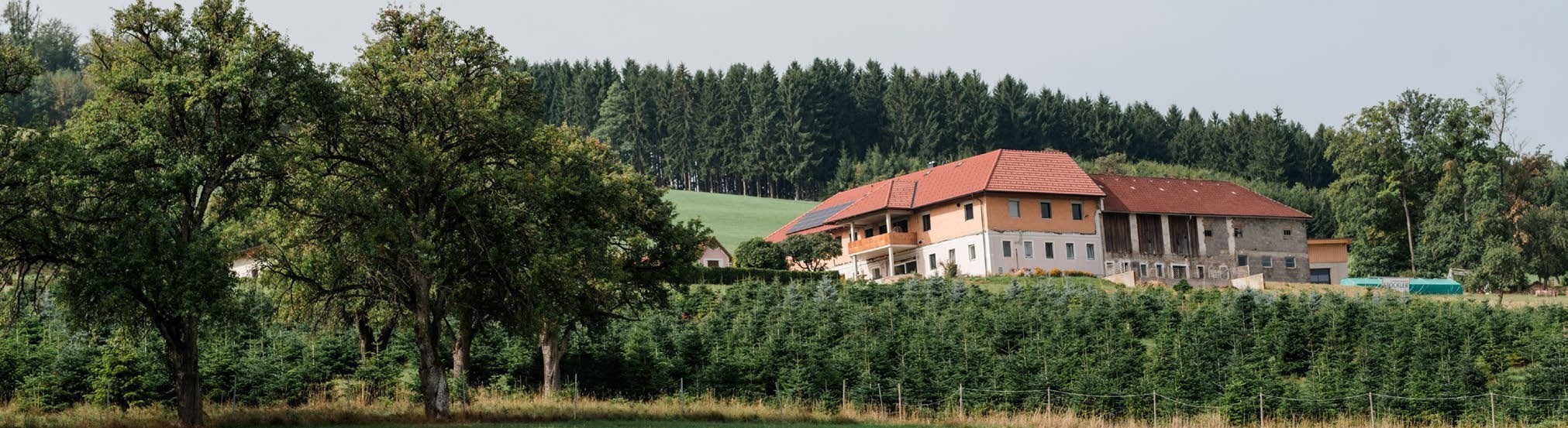 Hof der Familie Henickl mit Christbaumkultur